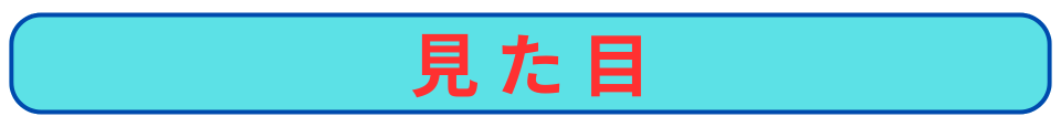 pythonしよう！楽しく学べるプログラミング教室：カテゴリー見た目